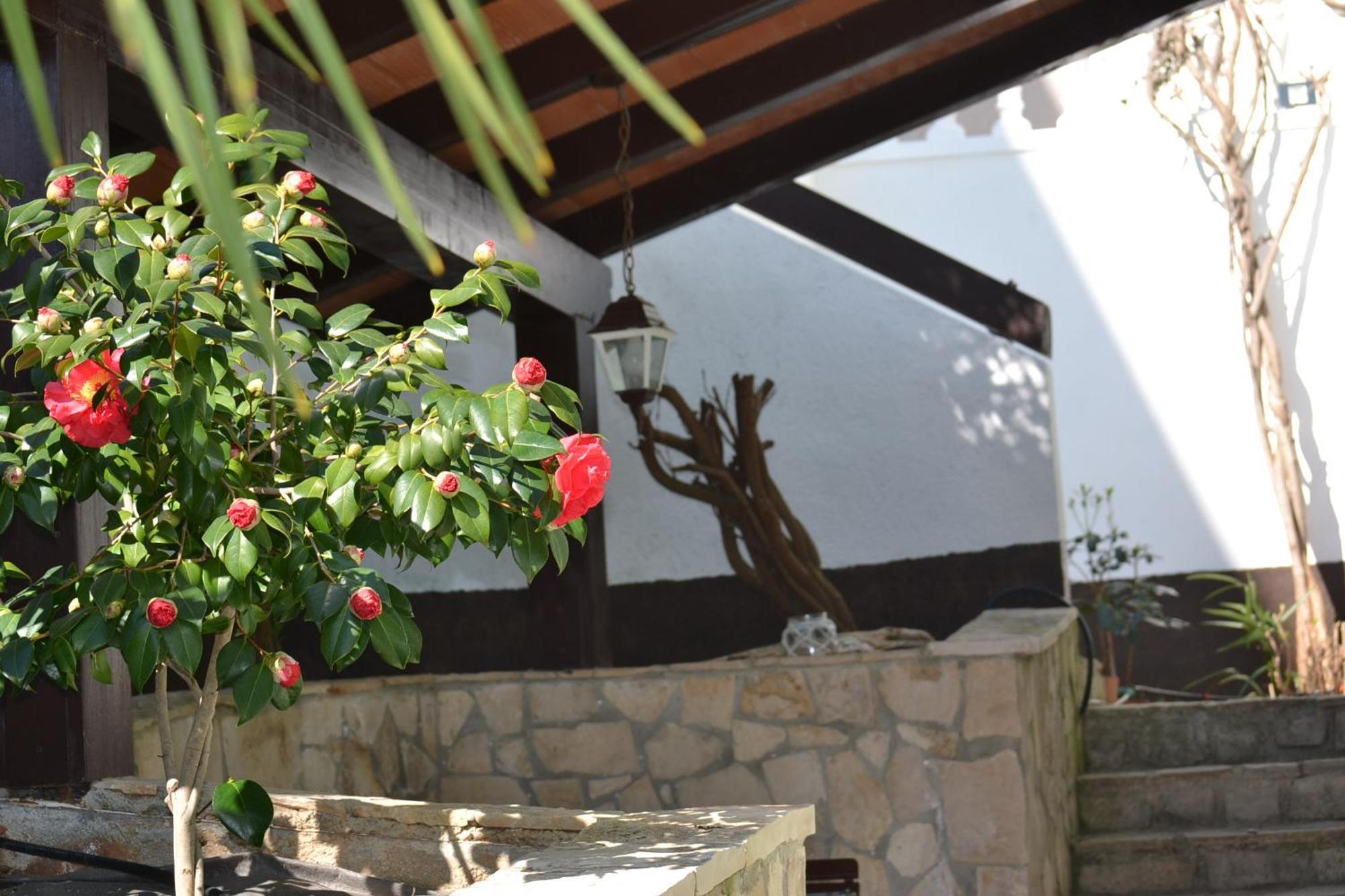 Villa Verde Apartments And Rooms Premantura Zewnętrze zdjęcie