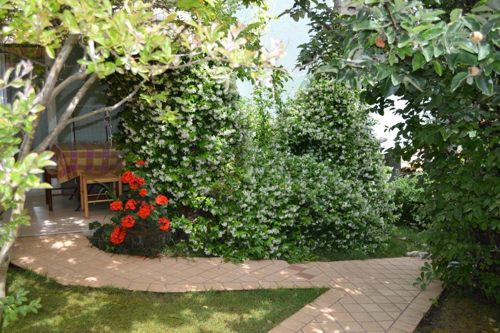 Villa Verde Apartments And Rooms Premantura Pokój zdjęcie